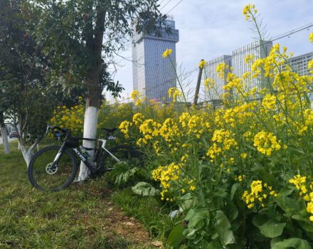 2026年3月8日 骑游30公里欣赏来自春天的味道