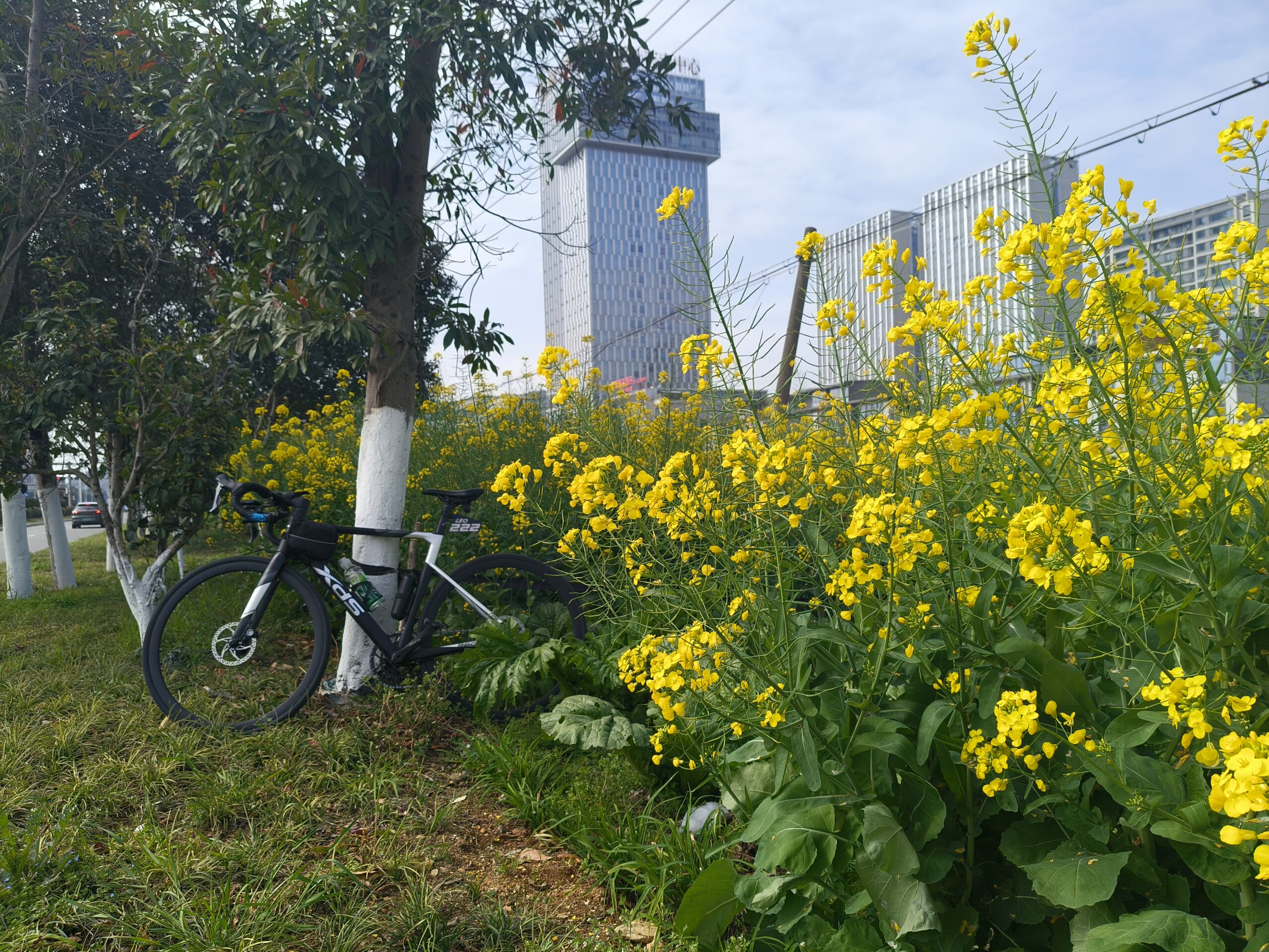 2026年3月8日 骑游30公里欣赏来自春天的味道